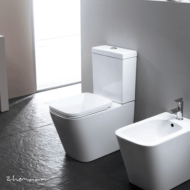 جزئیات اصولی نصب توالت فرنگی در فضاهای بهداشتی چگونه است؟